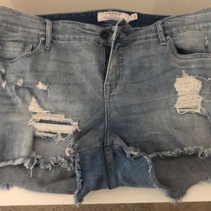 Torrid Shorts